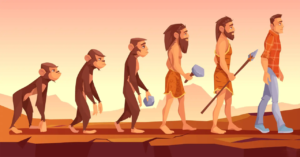 Anthropology: Exploring the Tapestry of Humanity