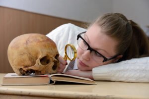 Anthropology: Exploring the Tapestry of Humanity