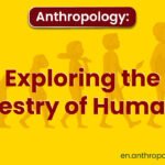 Anthropology: Exploring the Tapestry of Humanity