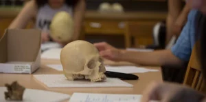Anthropological Research