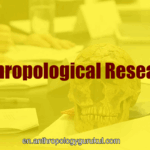 Anthropological Research