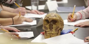 Anthropological Research
