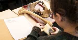 Anthropological Research